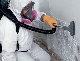 Best Mold Documentation for Insurance Claims  in Horizon West, FL